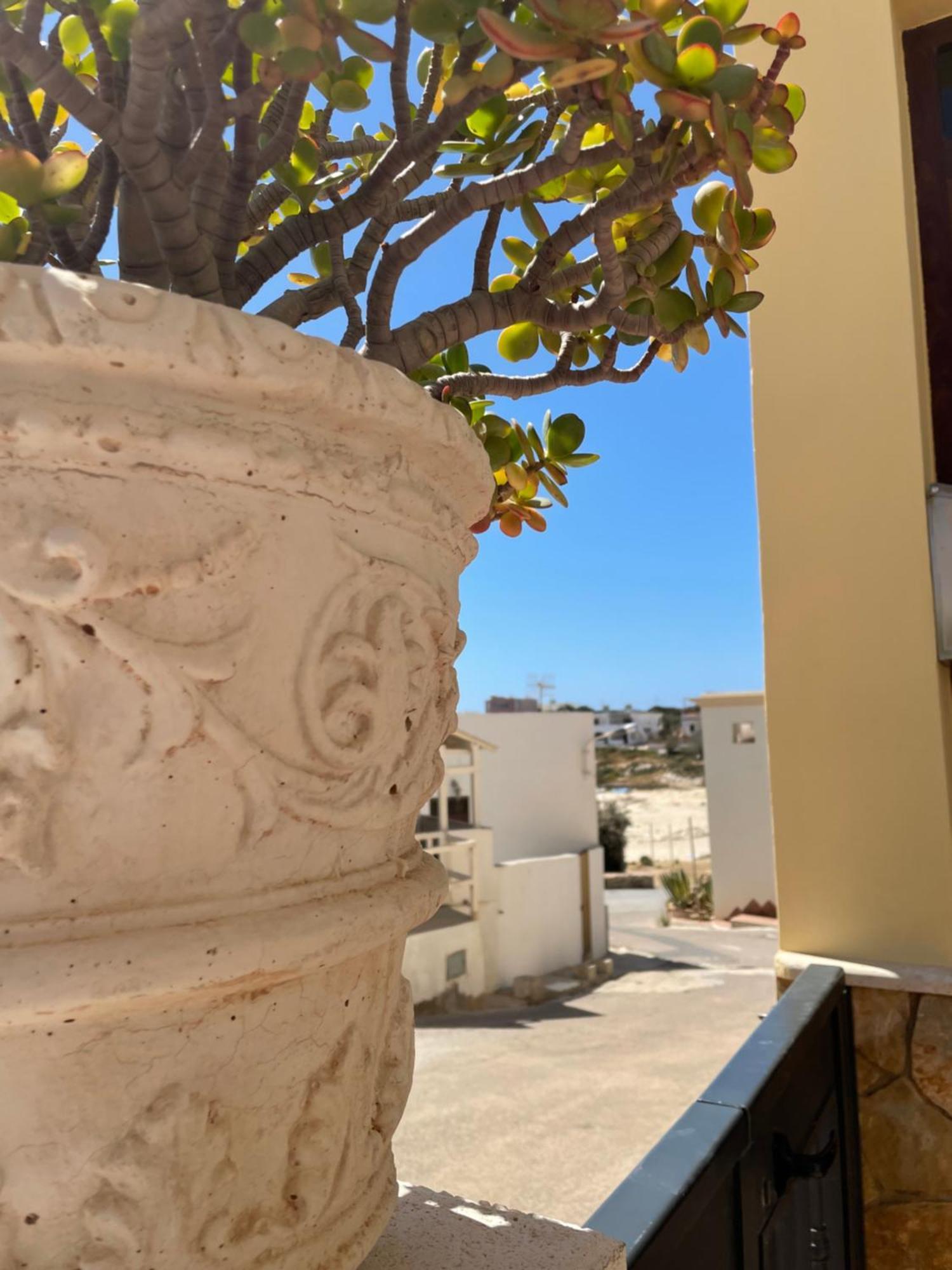 Le Case Di Nunzia Lampedusa Room photo